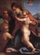 Andrea del Sarto Angel oil